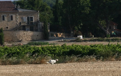 Du Rocher D'esparon - tan 2011